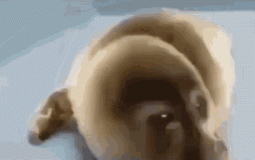 Tier list of friends I think deserve their rankings